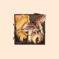 Promenade sous les champignons